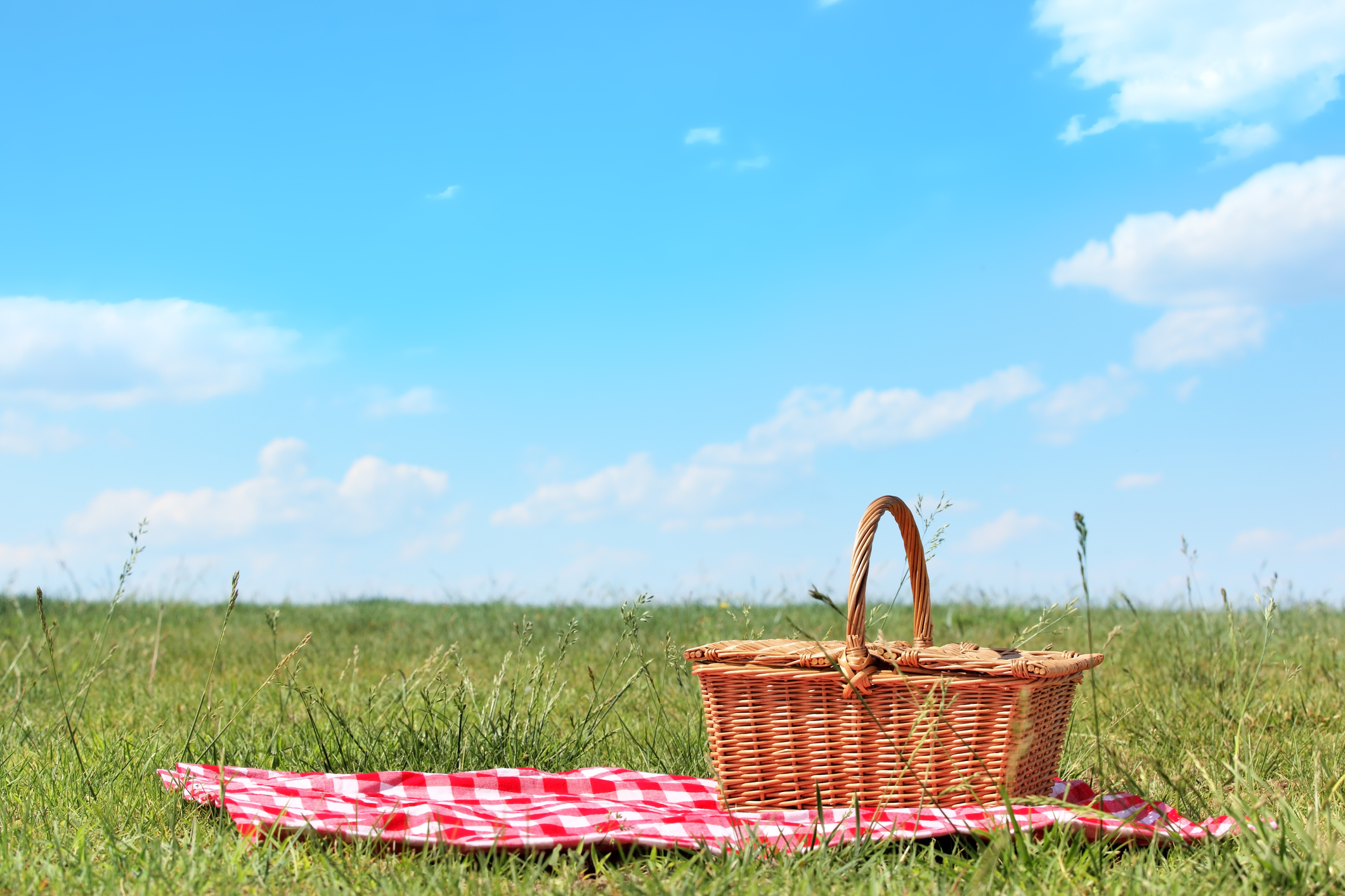 wicker picnic basket on a red and white checked blanket on green grass with a bright blue sky